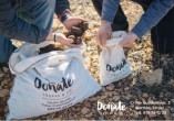 Logo DOÑATE TRUFAS S.L