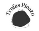 Logo JOSE LUIS PINAZO GAMIR